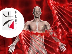 Untitled design (3).jpg