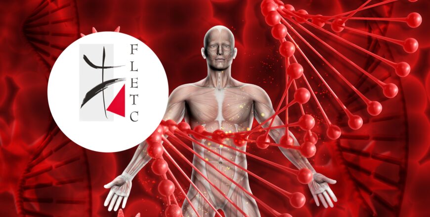 Untitled design (3).jpg